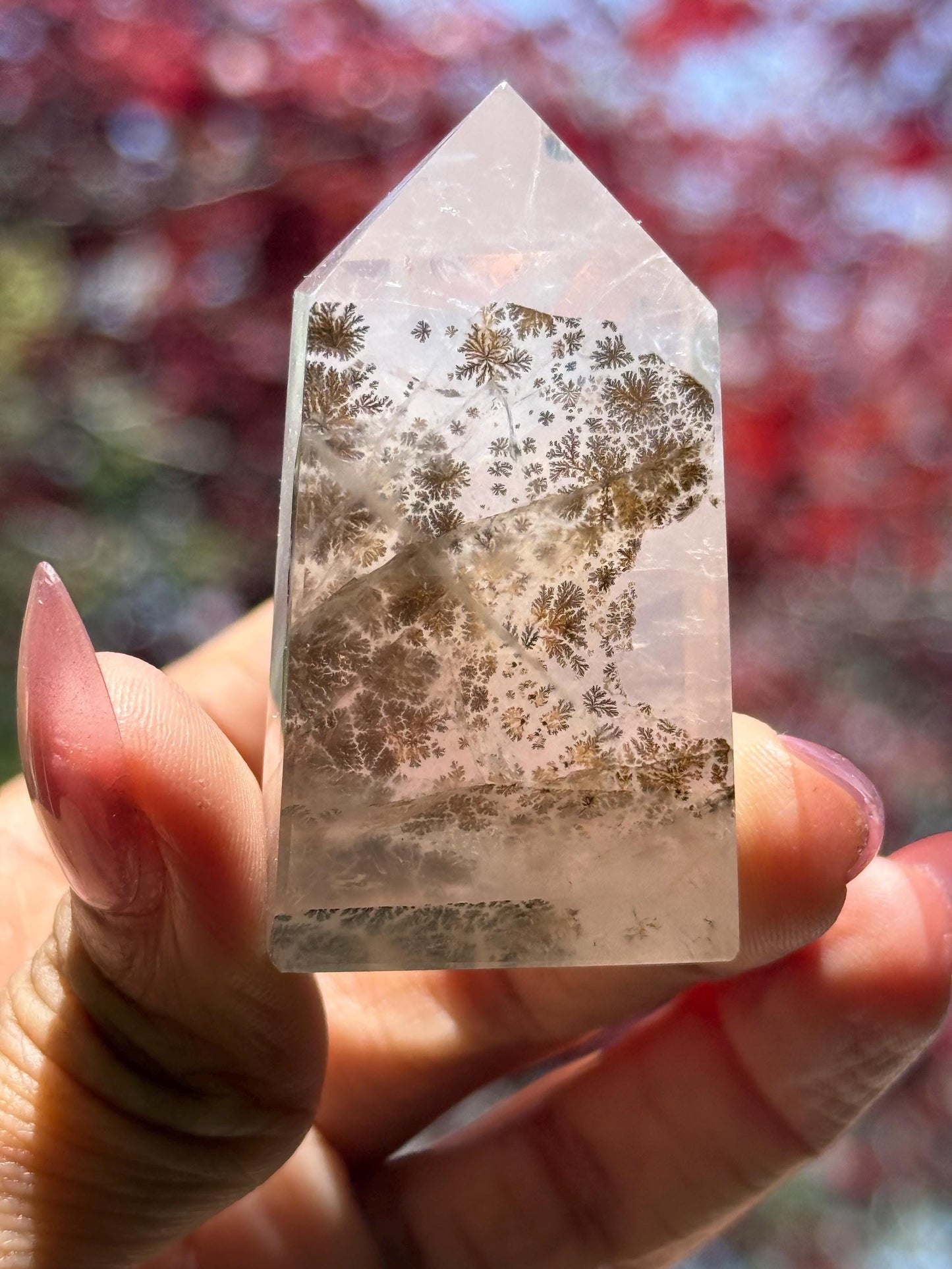 Small Dendritic Quartz, Dendritic Quartz, Girasol Quartz With Dendrites, Dendritic Agate, Healing Crystals, Crystals, Crystals Gift,