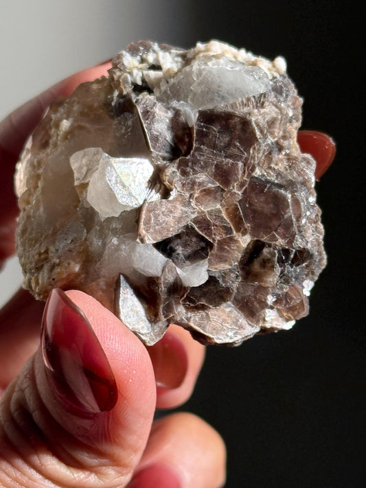 Smoky Quartz Scepter: Golden Mica & Enhydro Bubble - Minas Gerais Crystal