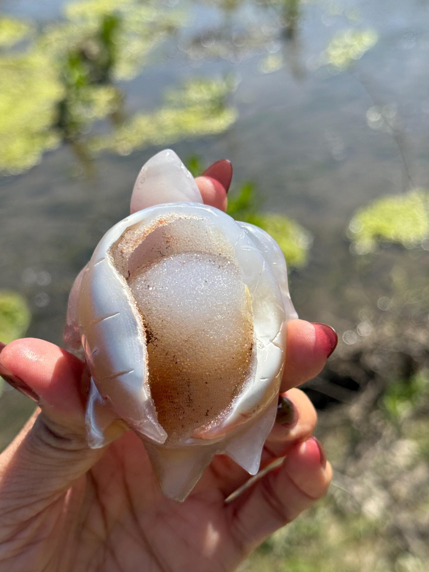 Druzy Agate Turtle, Orca Agate Turtle Carving, Turtle Spirit Animal, Crystal Gifts, Turtle Crystal Carving, Gift for Crystal Lovers