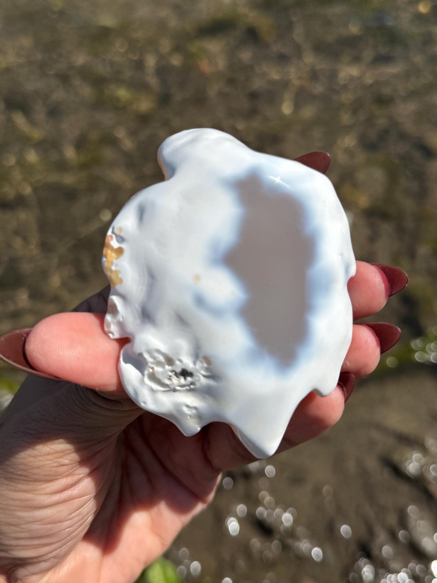 Druzy Agate Turtle, Orca Agate Turtle Carving, Turtle Spirit Animal, Crystal Gifts, Turtle Crystal Carving, Gift for Crystal Lovers