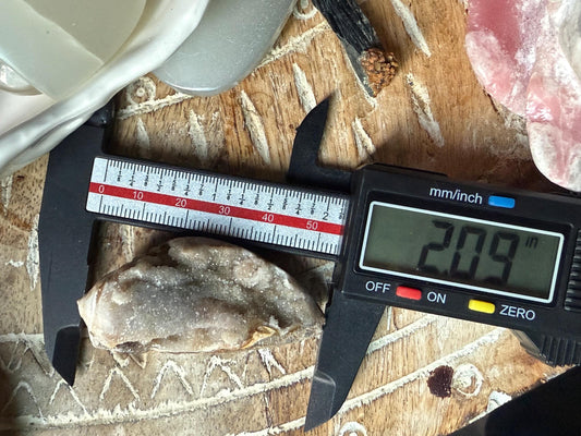 Spiralite Shell, Spiralite Quartz Shell, Fossilized Sea Shell, Agatized Shell, Druzy Quartz Shell, Fossilized Quartz, Crystal Gifts, Fossils