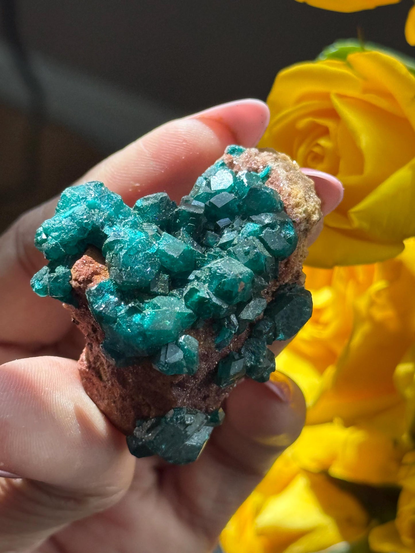 Dioptase, Natural Raw Dioptase, Dioptase from Republic of the Congo, Fossils and Minerals,