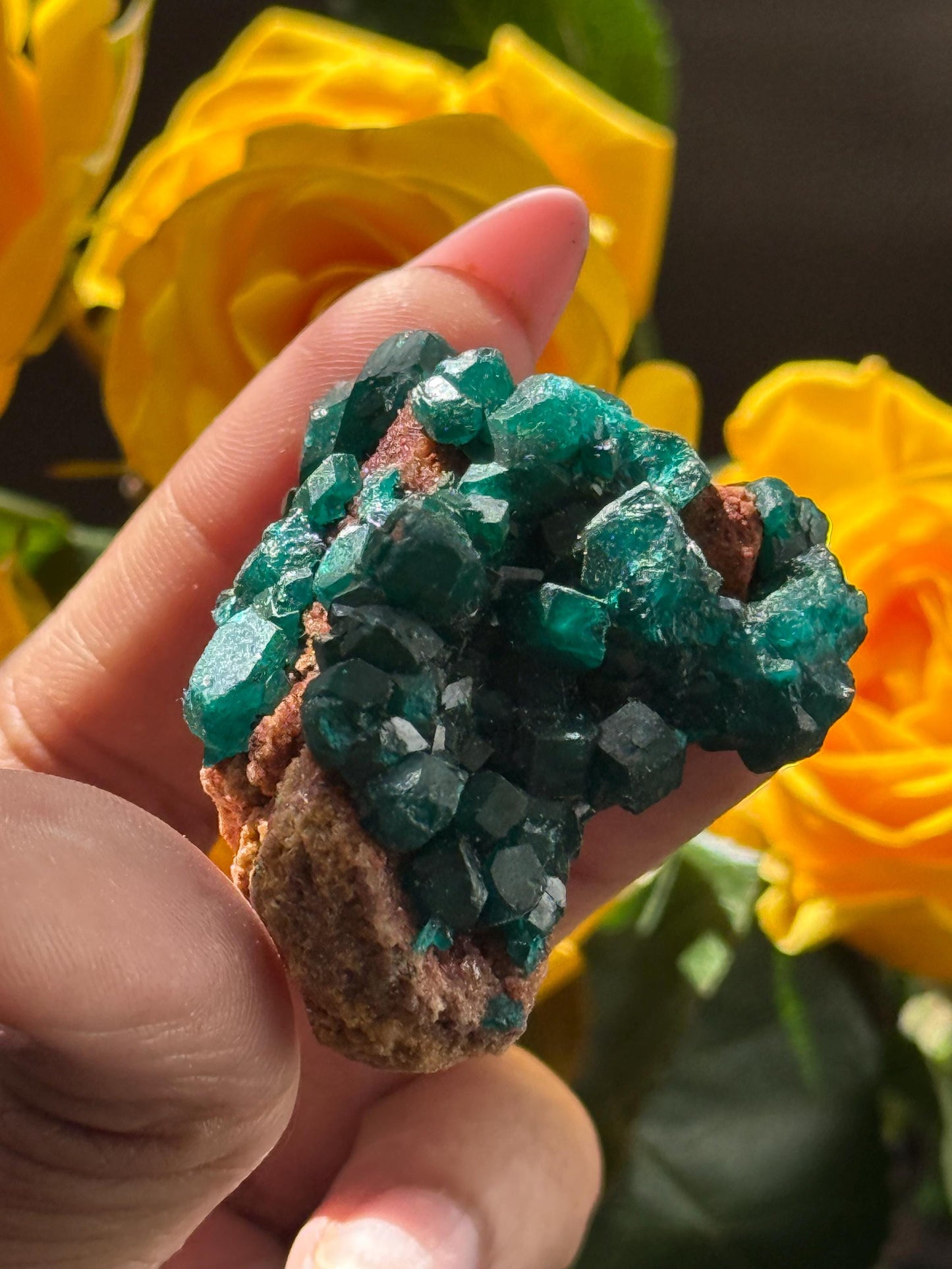 Dioptase, Natural Raw Dioptase, Dioptase from Republic of the Congo, Fossils and Minerals,