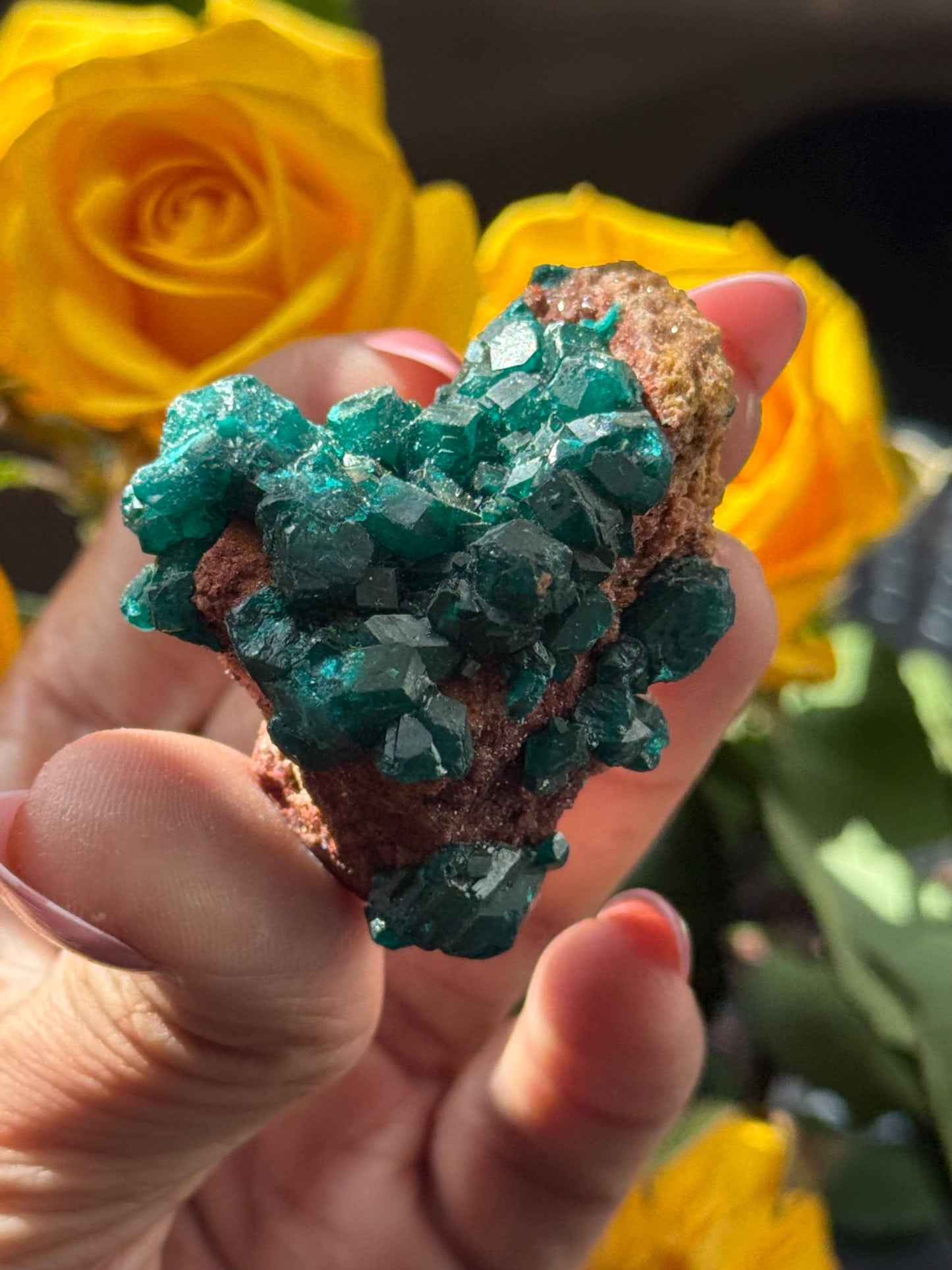 Dioptase, Natural Raw Dioptase, Dioptase from Republic of the Congo, Fossils and Minerals,