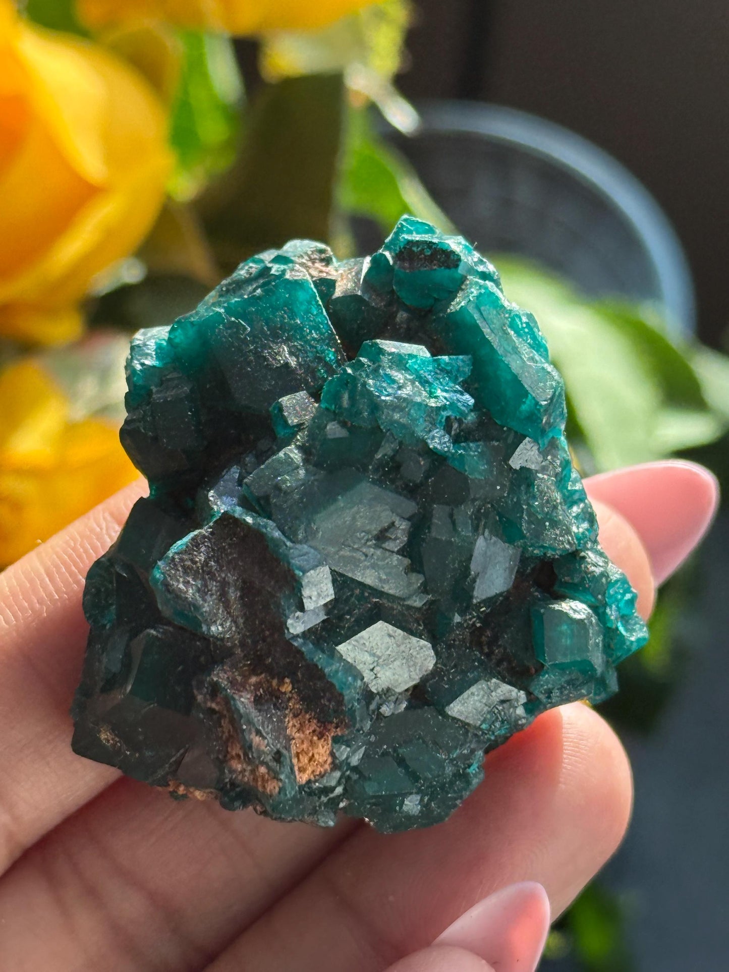 Dioptase, Natural Raw Dioptase, Dioptase from Republic of the Congo, Fossils and Minerals,