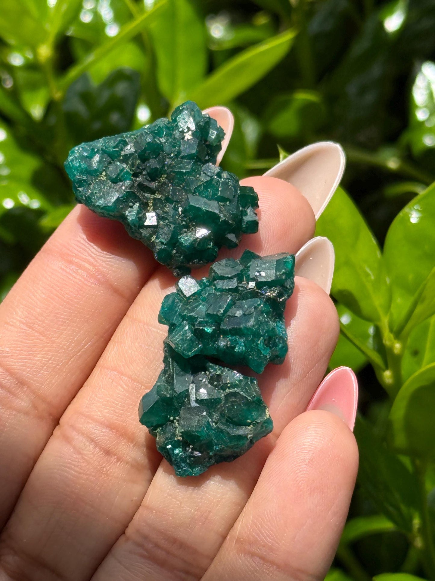 Dioptase Crystal Lot, Natural Raw Dioptase, Dioptase from Republic of the Congo, Crystal Wholesale