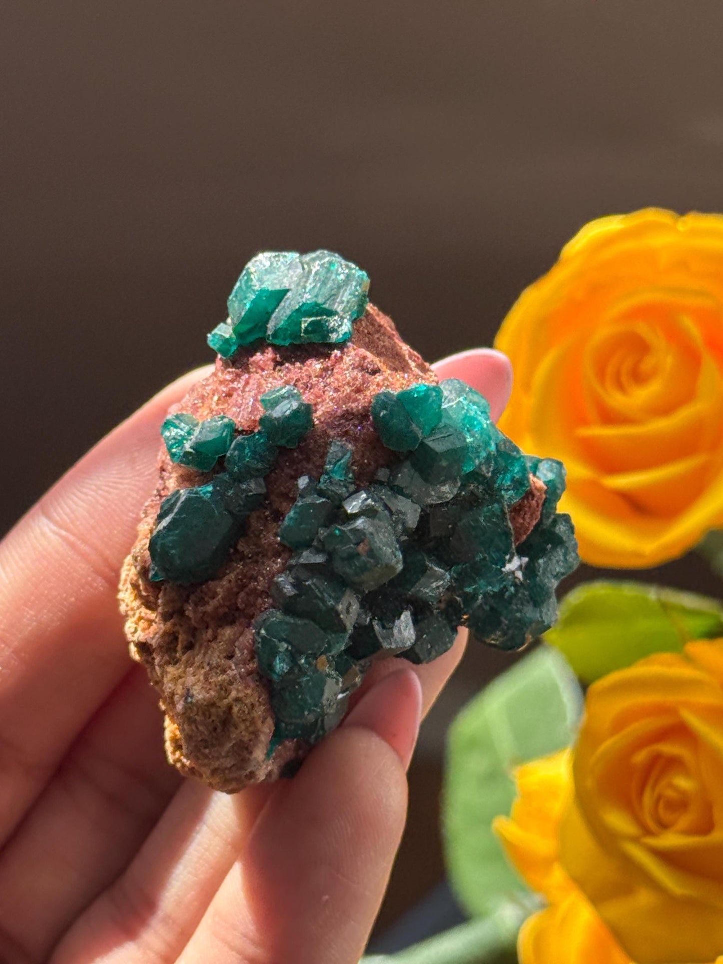Dioptase, Natural Raw Dioptase, Dioptase from Republic of the Congo, Fossils and Minerals,
