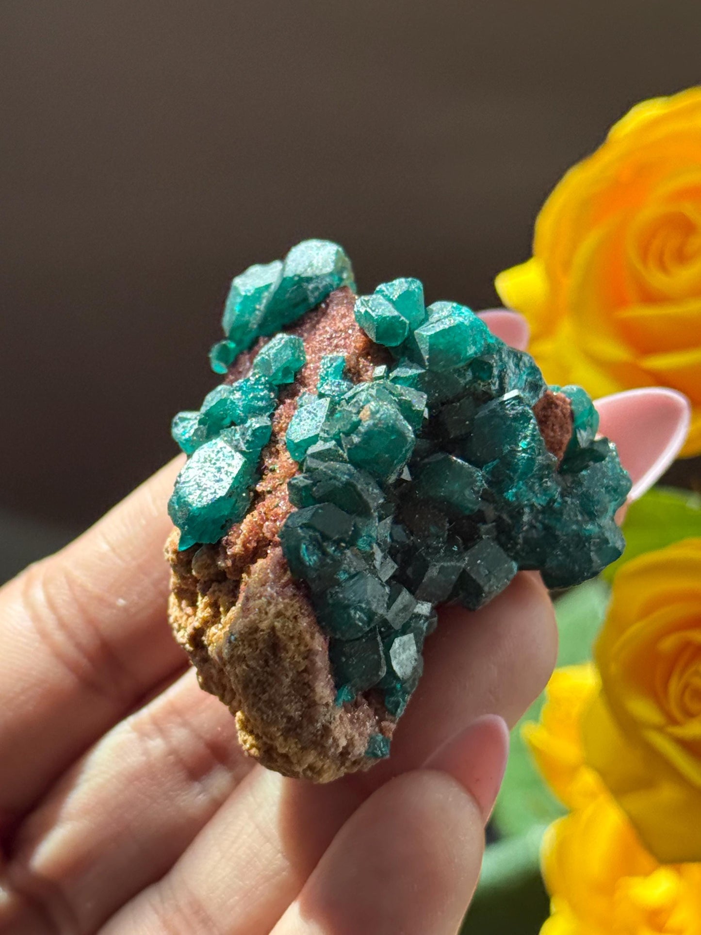 Dioptase, Natural Raw Dioptase, Dioptase from Republic of the Congo, Fossils and Minerals,