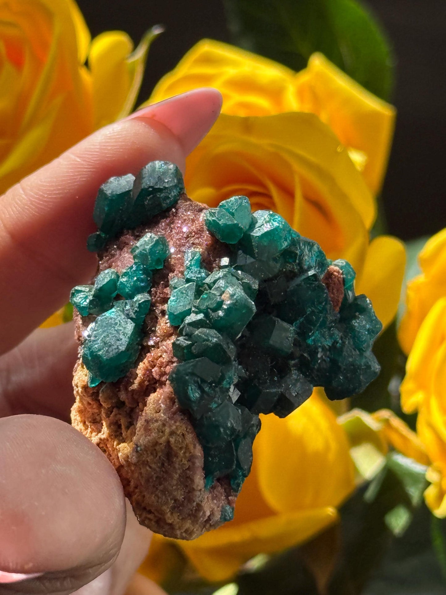 Dioptase, Natural Raw Dioptase, Dioptase from Republic of the Congo, Fossils and Minerals,
