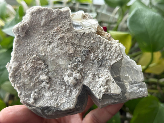 Fluorite Skull, Crystal Fluorite Skull, Crystal Skulls, Metaphysical Gifts,