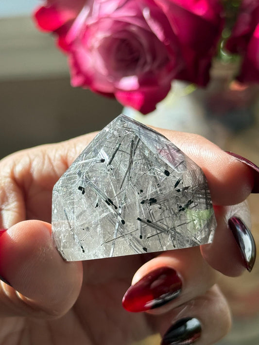 Silver Rutilated Quartz with Lodolite Quartz, Garden Quartz