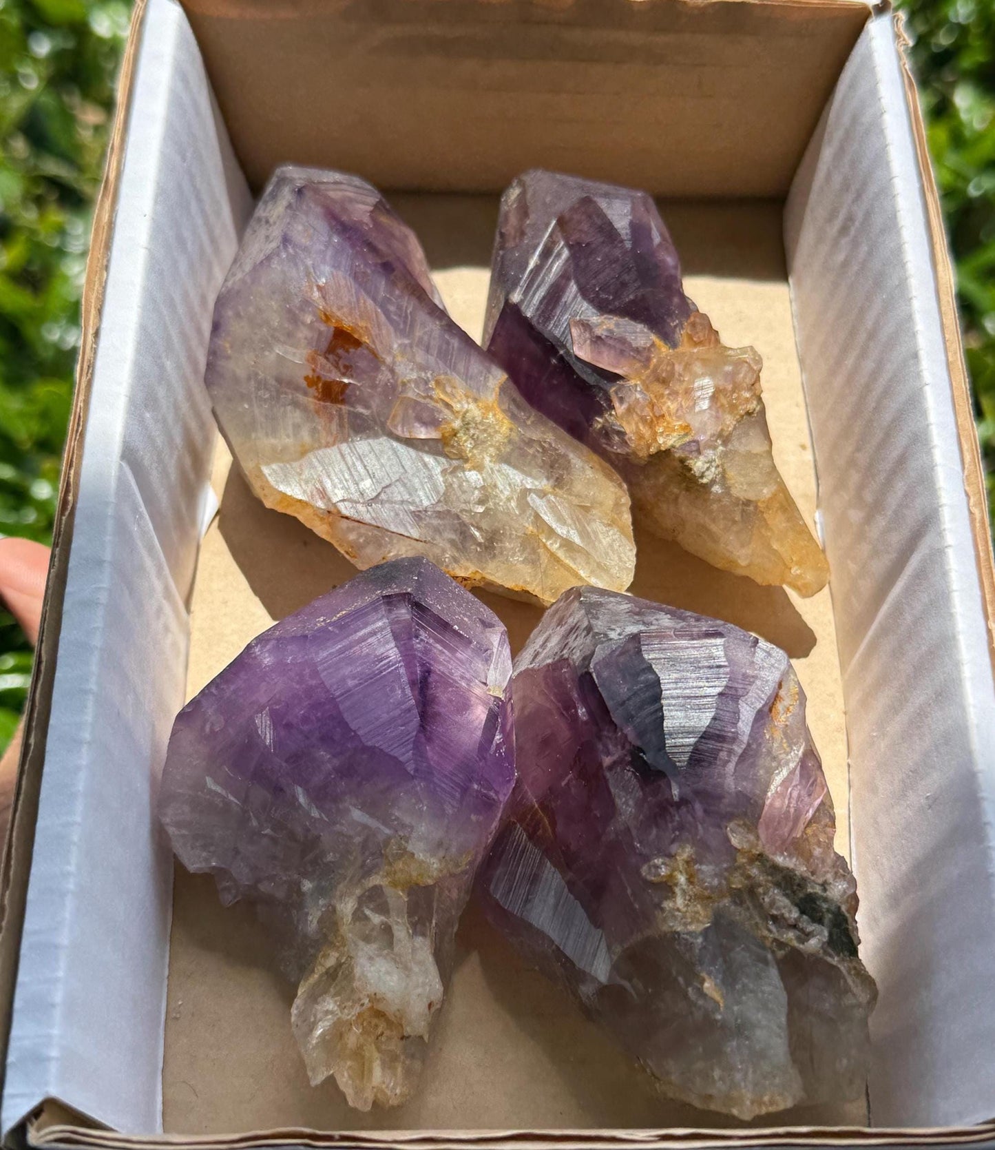 Congo Amethyst Box, Raw Congo Amethyst , Amethyst, Congo Amethyst Root, Crystal Lot, Crystal Wholesale
