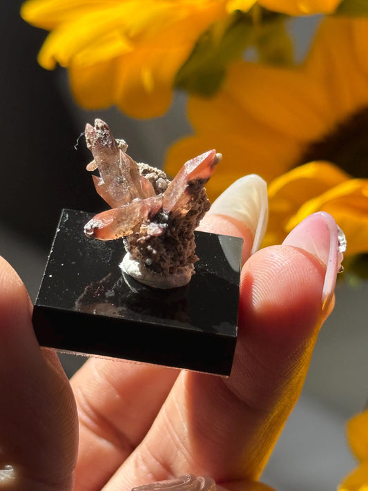 Topaz on Matrix From Mexico, Natural Topaz from San Luis Potosí, MX, Raw Mineral Specimen