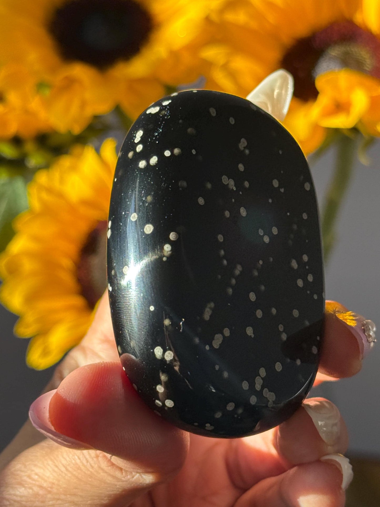 Stardust Obsidian Palmstone, Rare Obsidian From Jalisco Mexico,