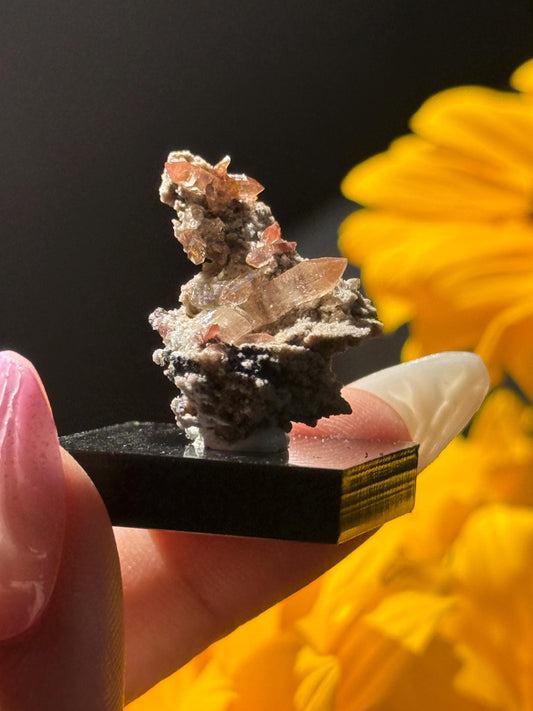 Topaz on Matrix From Mexico, Natural Topaz from San Luis Potosí, MX, Raw Mineral Specimen