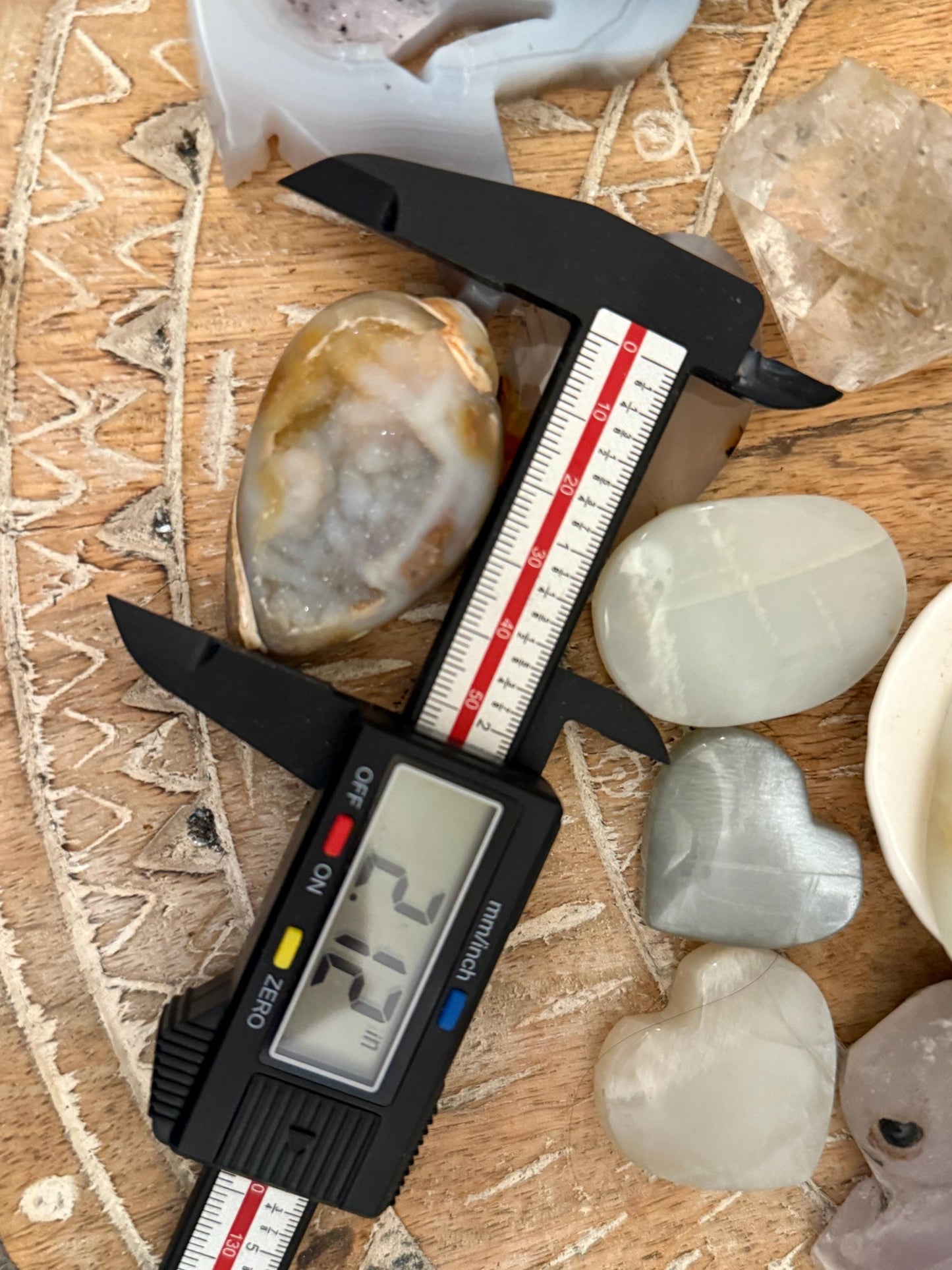 Spiralite Shell, Spiralite Quartz Shell, Fossilized Sea Shell, Agatized Shell, Druzy Quartz Shell, Fossilized Quartz, Crystal Gifts, Fossils
