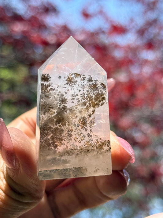 Small Dendritic Quartz, Dendritic Quartz, Girasol Quartz With Dendrites, Dendritic Agate, Healing Crystals, Crystals, Crystals Gift,