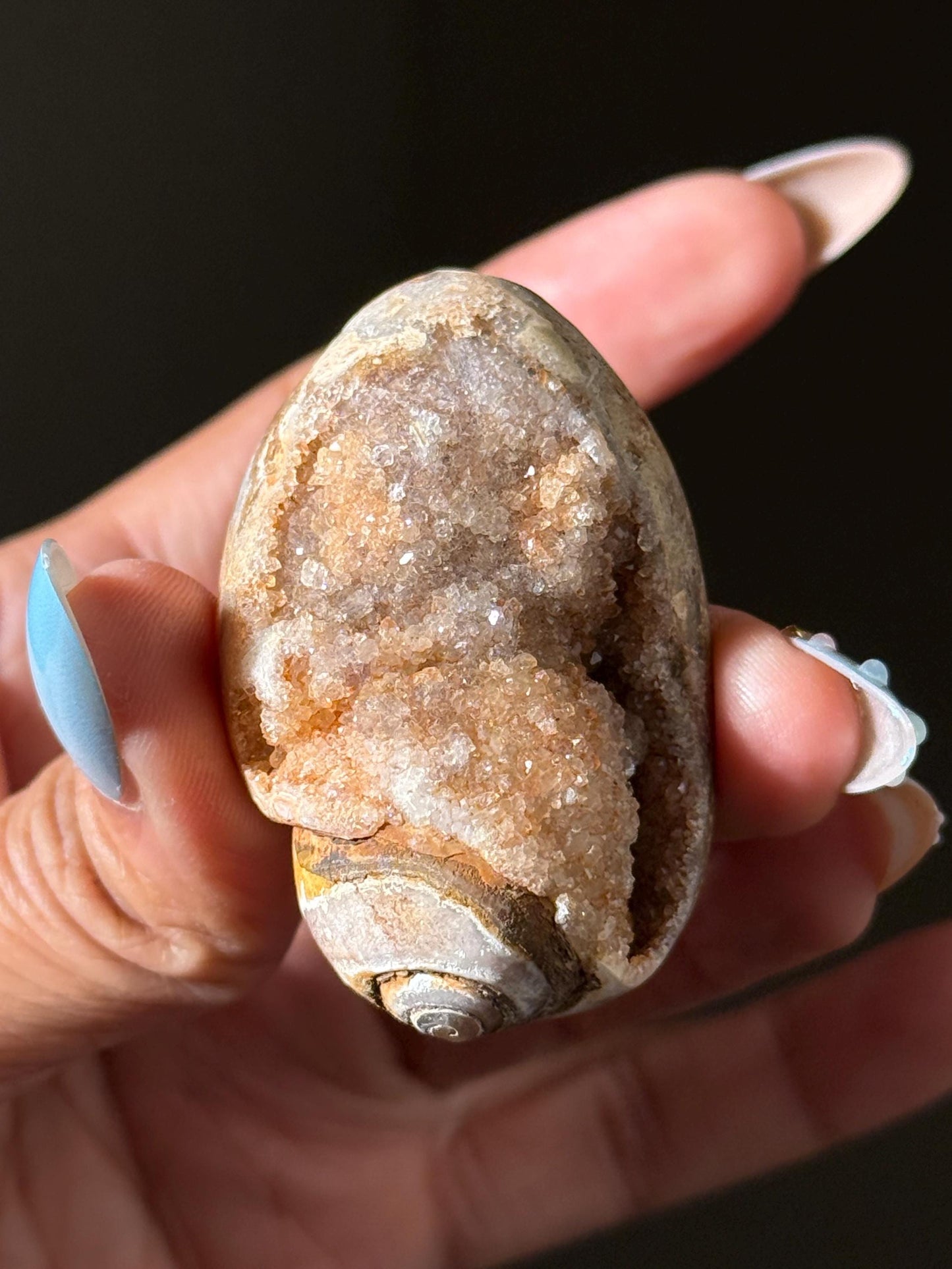Druzy Quartz Shell, Shell, Spiralite Quartz Shell, Fossilized Sea Shell, Agatized Shell, Fossilized Quartz, Crystal Gifts, Fossils