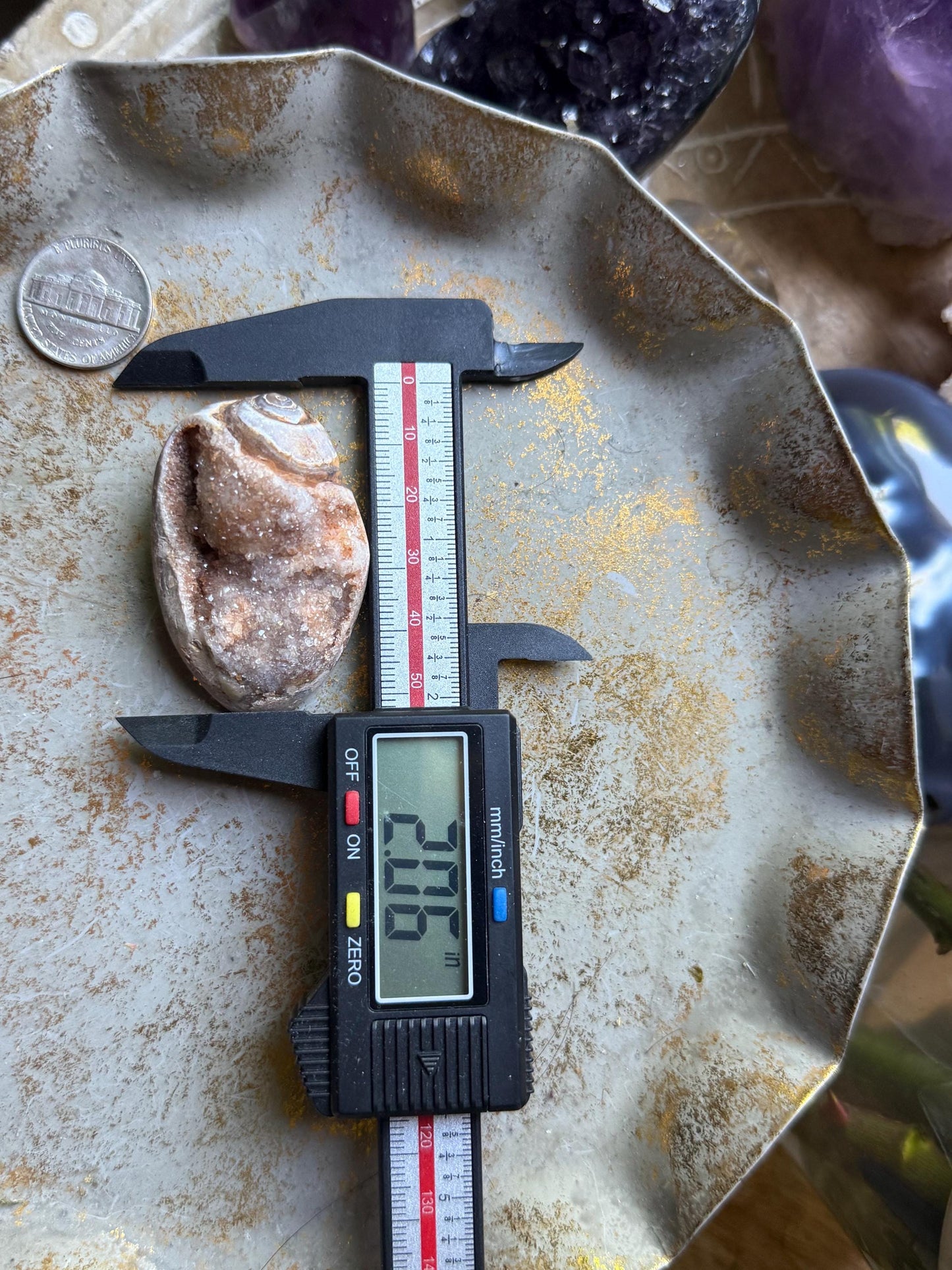 Druzy Quartz Shell, Shell, Spiralite Quartz Shell, Fossilized Sea Shell, Agatized Shell, Fossilized Quartz, Crystal Gifts, Fossils