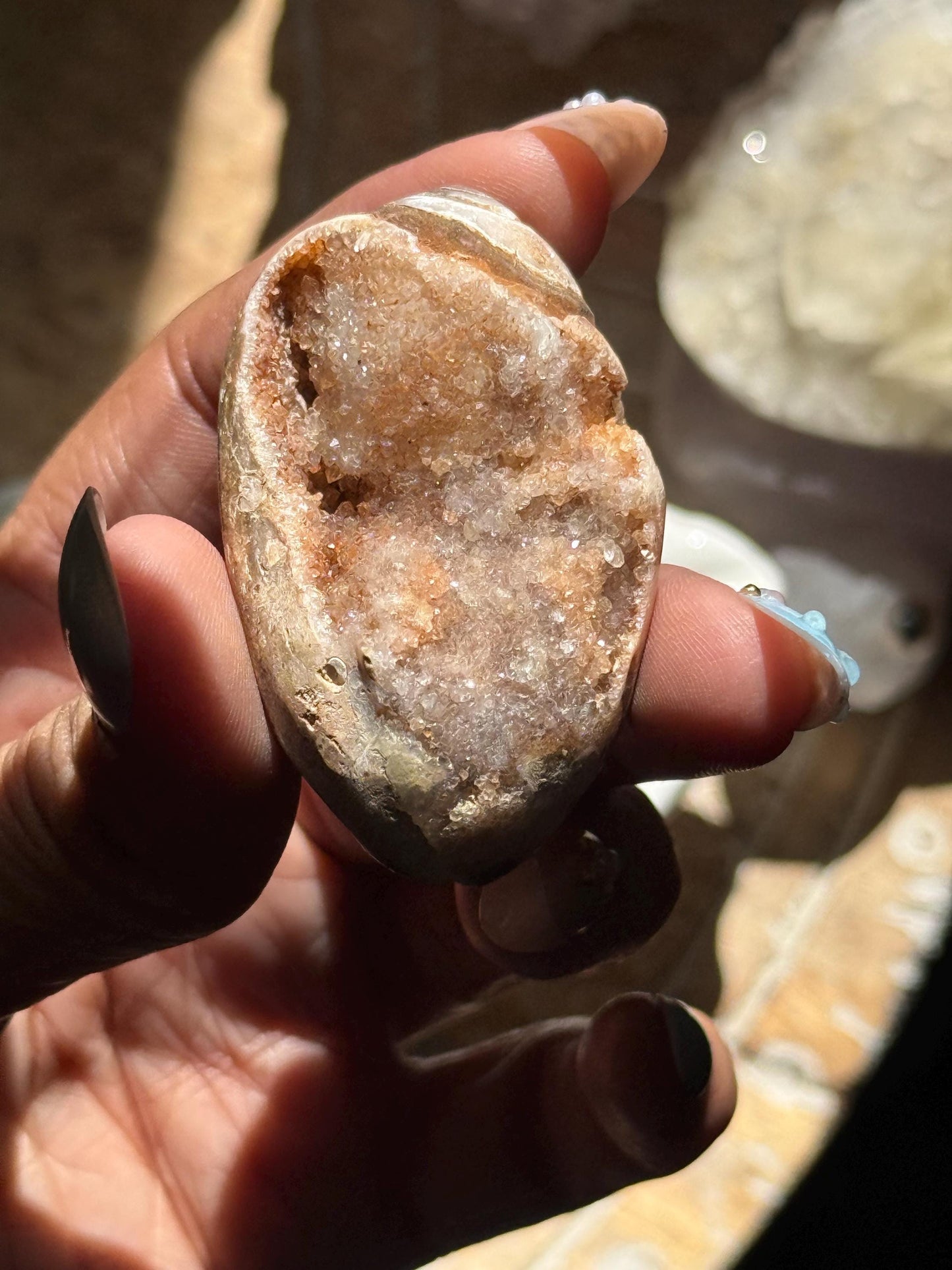 Druzy Quartz Shell, Shell, Spiralite Quartz Shell, Fossilized Sea Shell, Agatized Shell, Fossilized Quartz, Crystal Gifts, Fossils
