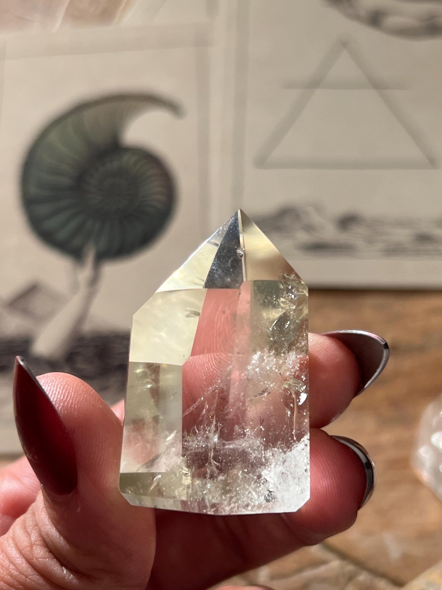 Authentic Citrine From Brazil, Citrine, Natural Non Heated Citrine, Natural Citrine, Citrine Crystal Gifts, Crystal For Wealth & Abundance