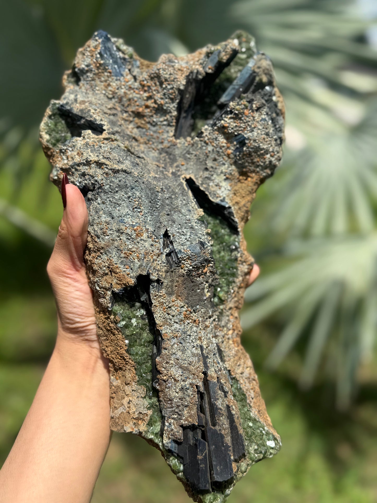 Extra Large Vivianite – Unique Natural Crystal, Vivianite, Ludlamite, Fossils and Minerals