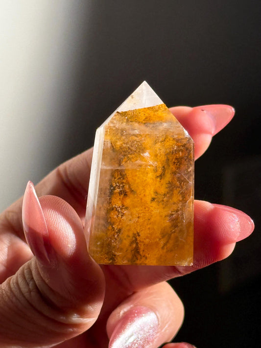 Small Dendritic Quartz, Dendritic Quartz, Girasol Quartz With Dendrites, Dendritic Agate, Healing Crystals, Crystals, Crystals Gift,