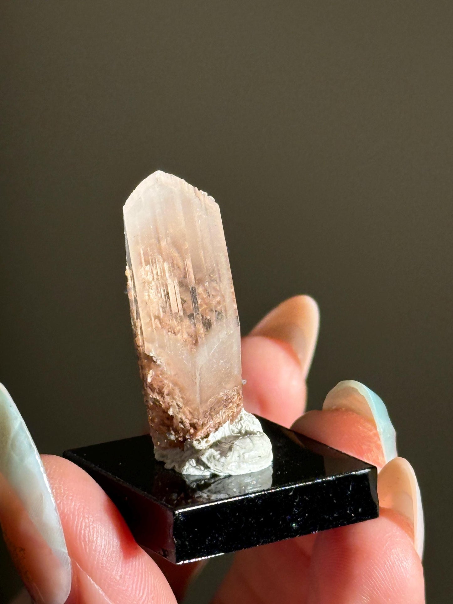 Raw Selenite From Durango Mexico, Mexican Selenite, Raw Natural Selenite, Bermejillo Durango Selenite, Raw Crystals, Fossils, Raw Minerals