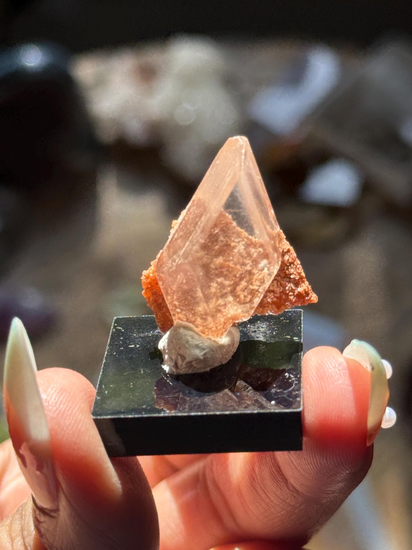 Raw Selenite From Durango Mexico, Mexican Selenite, Raw Natural Selenite, Bermejillo Durango Selenite, Raw Crystals, Fossils, Raw Minerals
