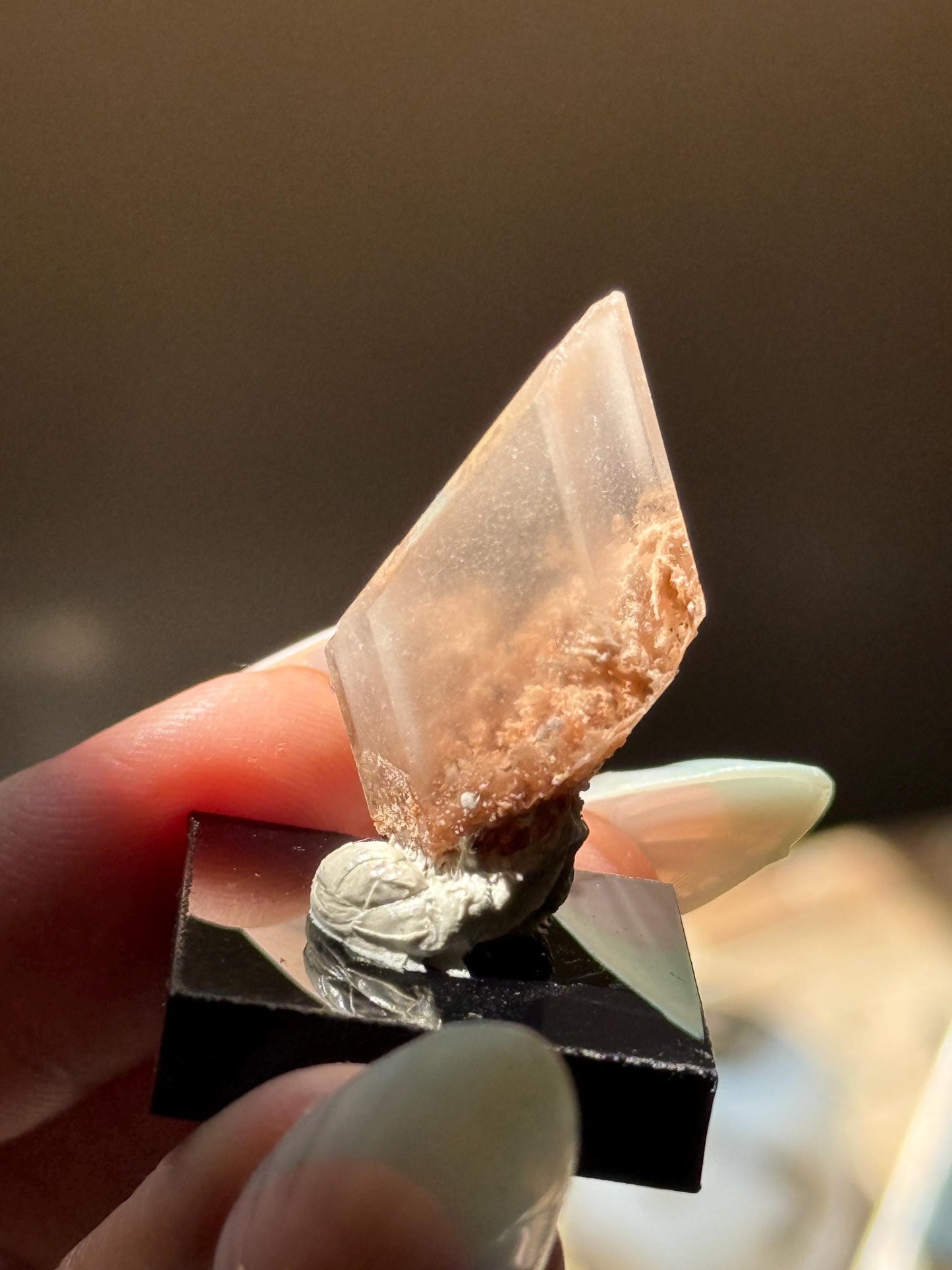 Raw Selenite From Durango Mexico, Mexican Selenite, Raw Natural Selenite, Bermejillo Durango Selenite, Raw Crystals, Fossils, Raw Minerals