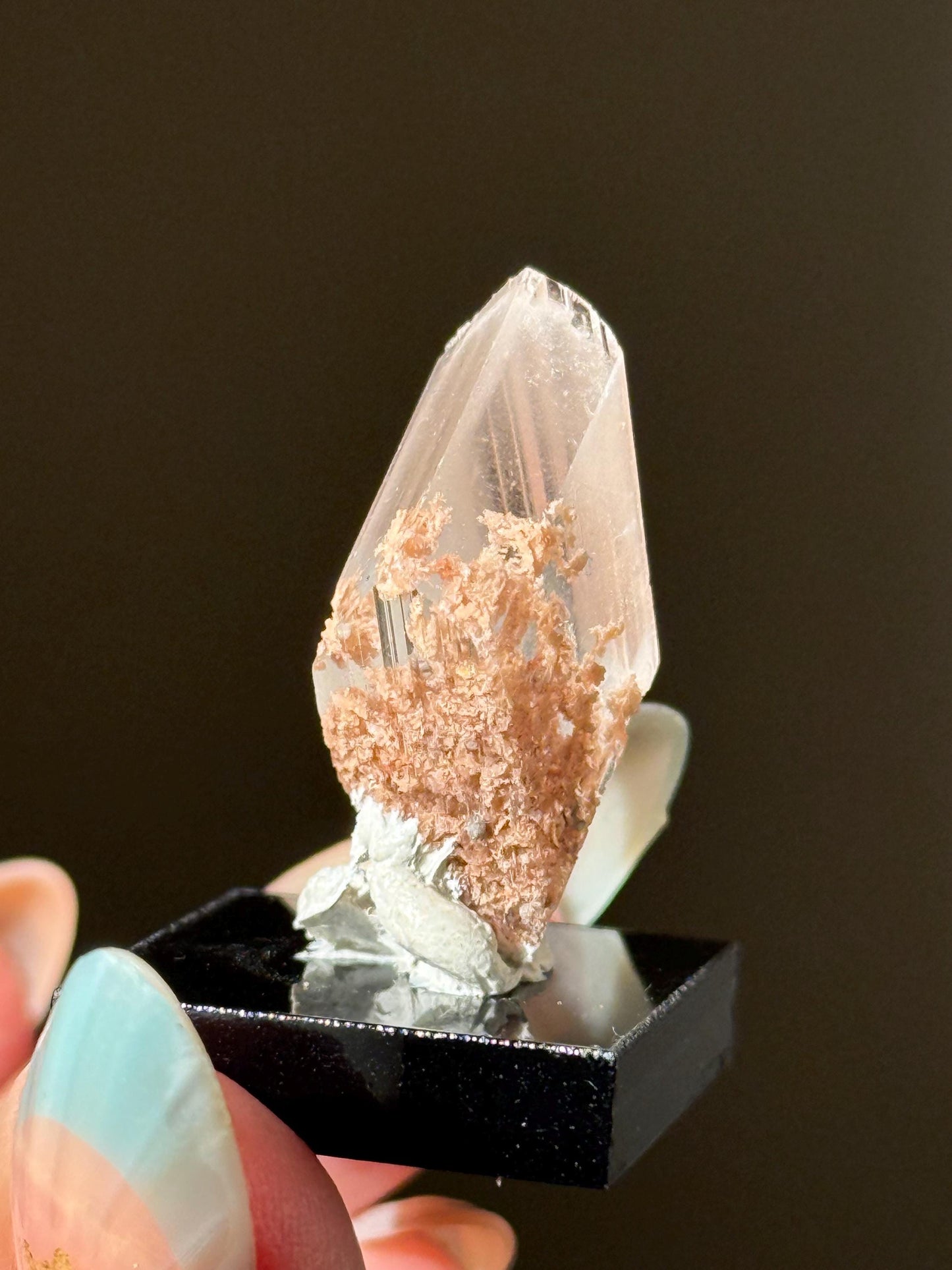 Raw Selenite From Durango Mexico, Mexican Selenite, Raw Natural Selenite, Bermejillo Durango Selenite, Raw Crystals, Fossils, Raw Minerals