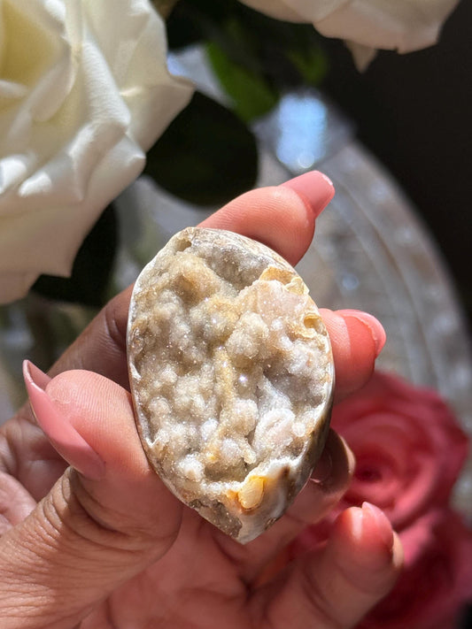 Spiralite Shell, Spiralite Quartz Shell, Fossilized Sea Shell, Agatized Shell, Druzy Quartz Shell, Fossilized Quartz, Crystal Gifts, Fossils