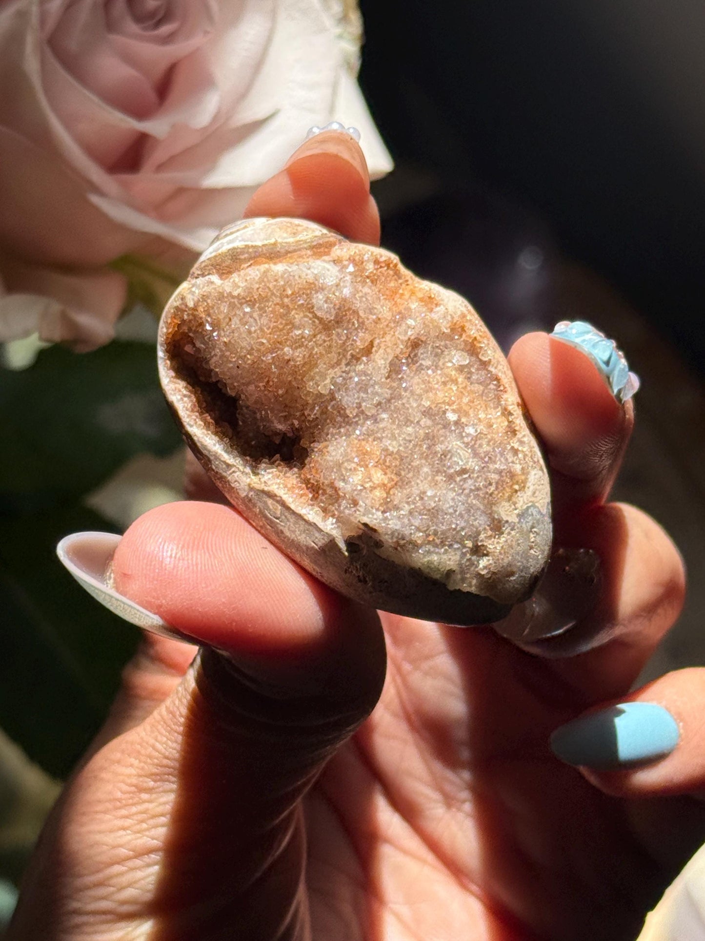 Druzy Quartz Shell, Shell, Spiralite Quartz Shell, Fossilized Sea Shell, Agatized Shell, Fossilized Quartz, Crystal Gifts, Fossils