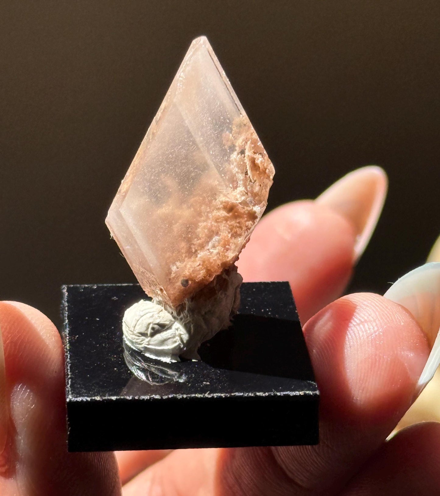 Raw Selenite From Durango Mexico, Mexican Selenite, Raw Natural Selenite, Bermejillo Durango Selenite, Raw Crystals, Fossils, Raw Minerals