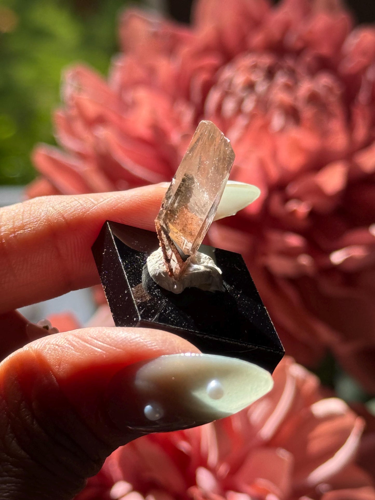 Raw Selenite From Durango Mexico, Mexican Selenite, Raw Natural Selenite, Bermejillo Durango Selenite, Raw Crystals, Fossils, Raw Minerals