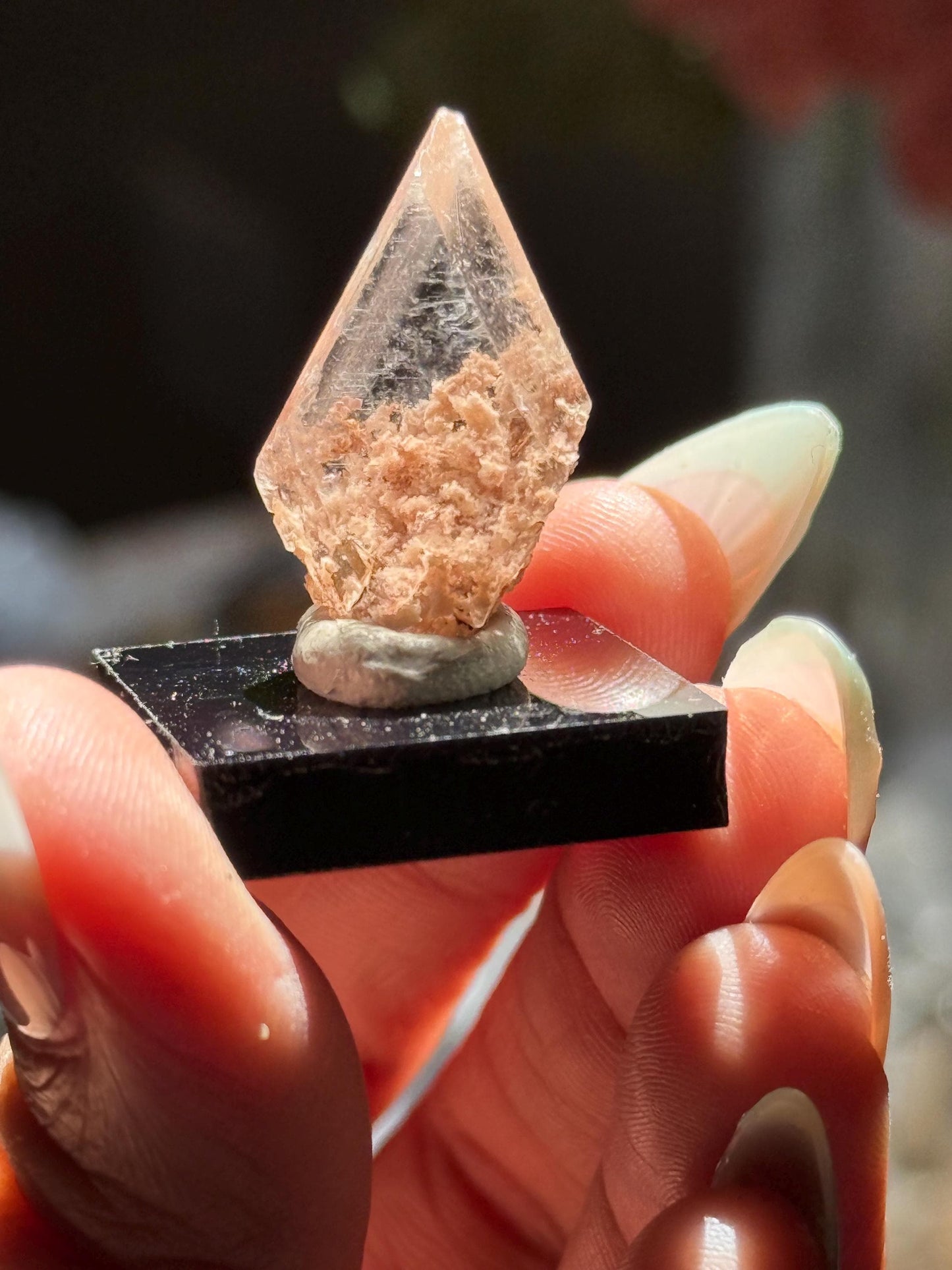 Raw Selenite From Durango Mexico, Mexican Selenite, Raw Natural Selenite, Bermejillo Durango Selenite, Raw Crystals, Fossils, Raw Minerals