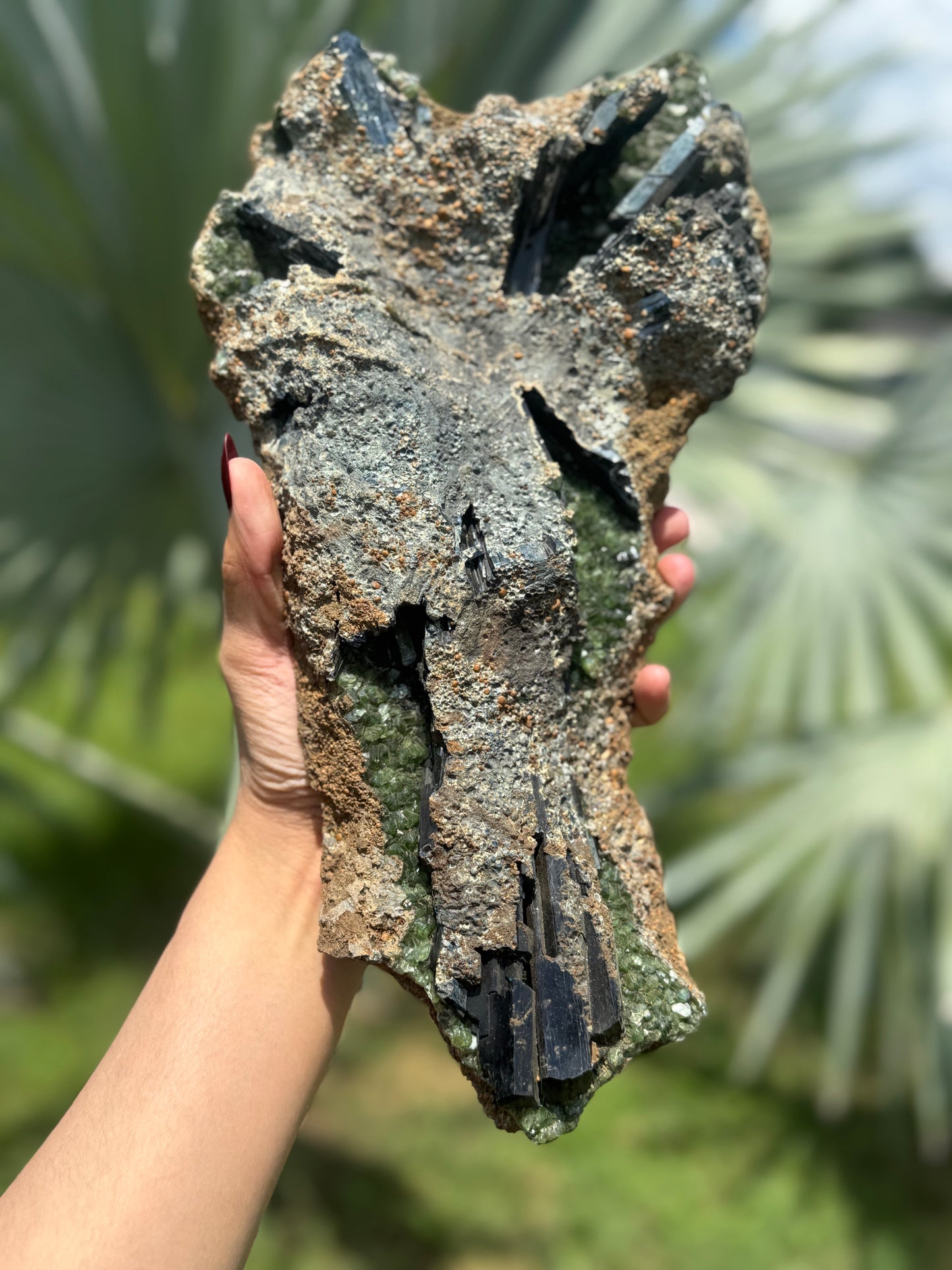 Extra Large Vivianite – Unique Natural Crystal, Vivianite, Ludlamite, Fossils and Minerals
