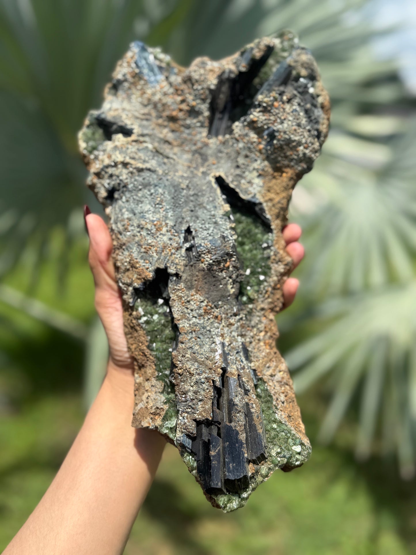 Extra Large Vivianite – Unique Natural Crystal, Vivianite, Ludlamite, Fossils and Minerals