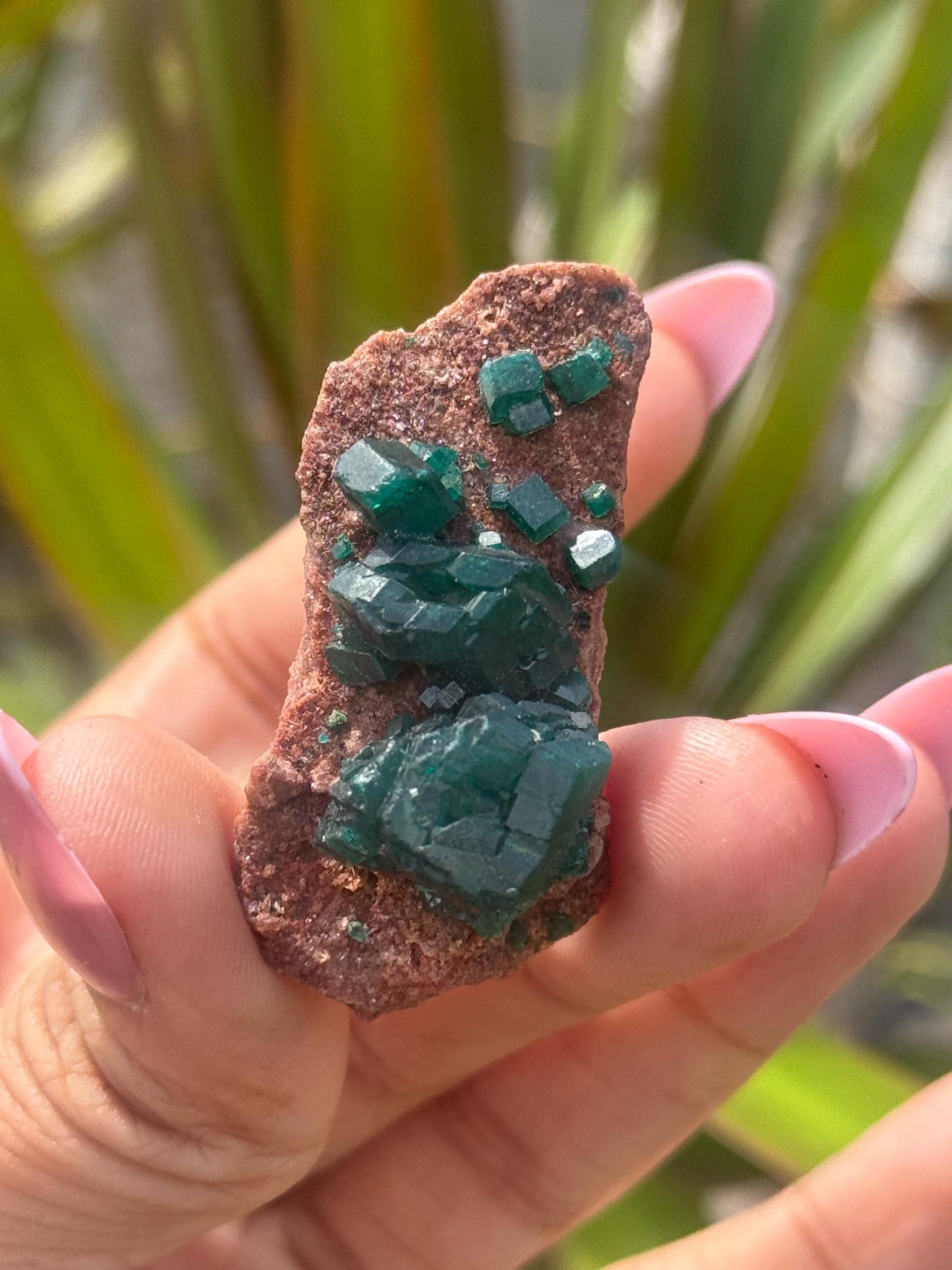 Dioptase, Natural Raw Dioptase, Dioptase from Republic of the Congo, Fossils and Minerals,