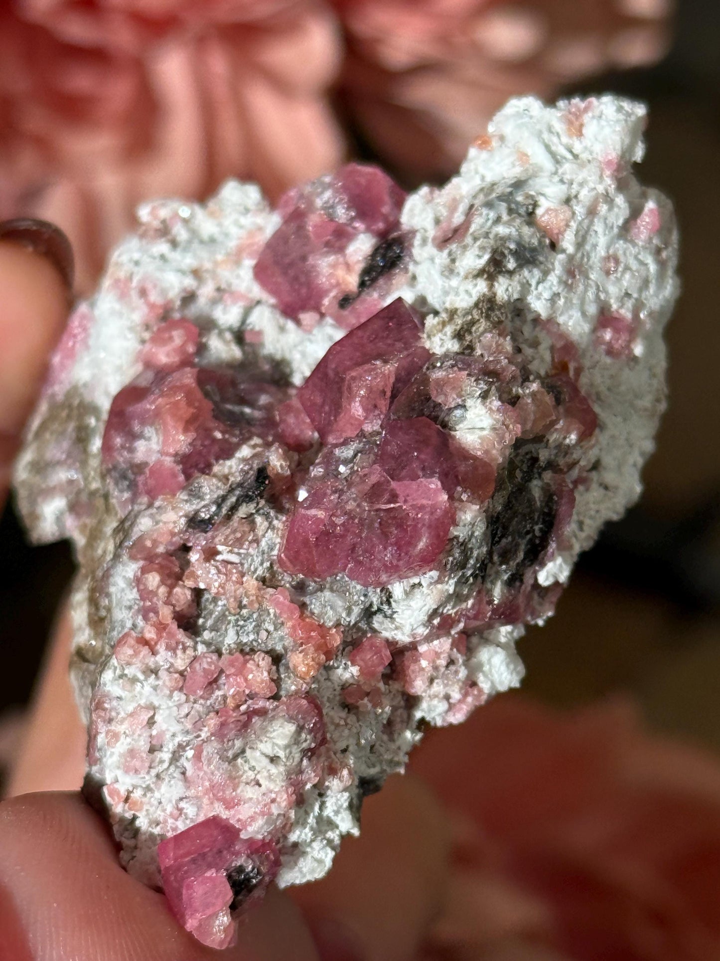 Raspberry Garnet, Grossular Garnet, Raspberry Garnet from Coahuila, Mexico, Raw Mineral Specimen, Garnet, Garnet Raw Stone, Crystal Gifts