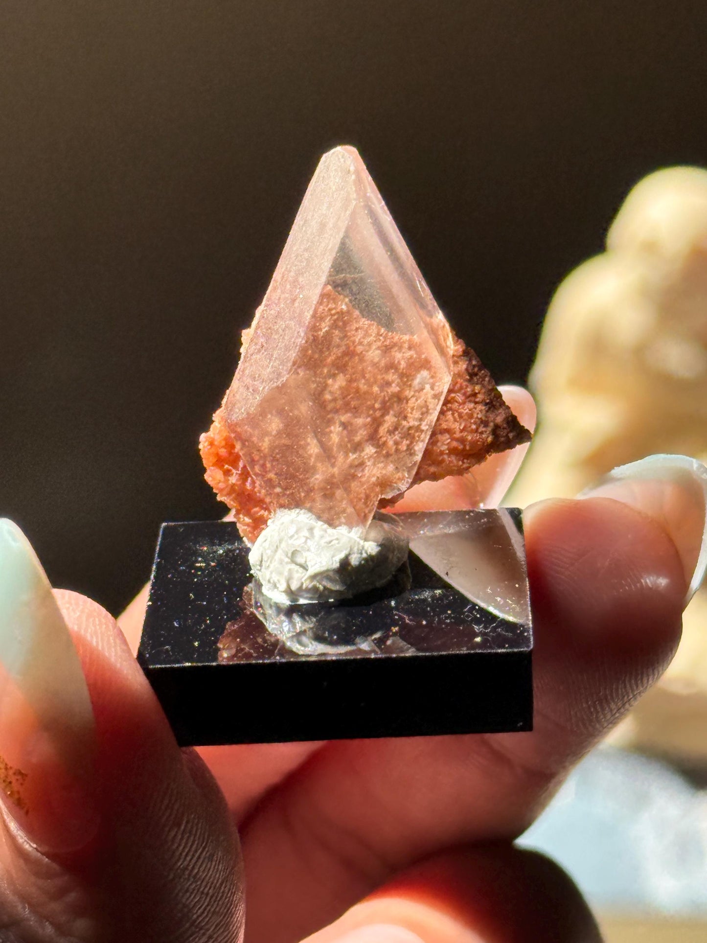 Raw Selenite From Durango Mexico, Mexican Selenite, Raw Natural Selenite, Bermejillo Durango Selenite, Raw Crystals, Fossils, Raw Minerals