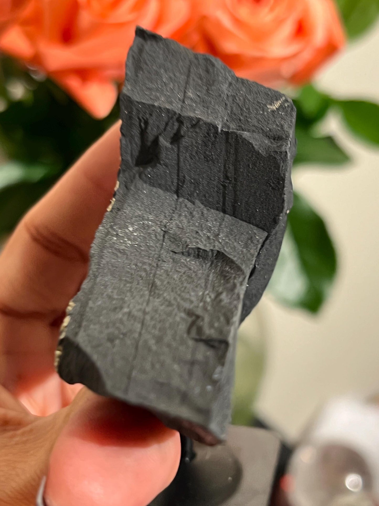 Shungite with Pyrite On Stand, Natural Shungite, Shungite with Pyrite, Raw Shungite, Crystal Gifts, Metaphysical Gifts, Spiritual Decor