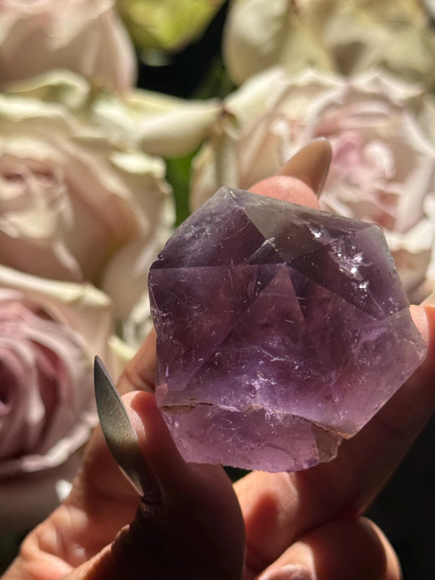 Amethyst Cut Base, Polished Amethyst Rough Points, Dark Purple Amethyst, Rough Amethyst, Amethyst Points, Crystal Gifts, MINI Size