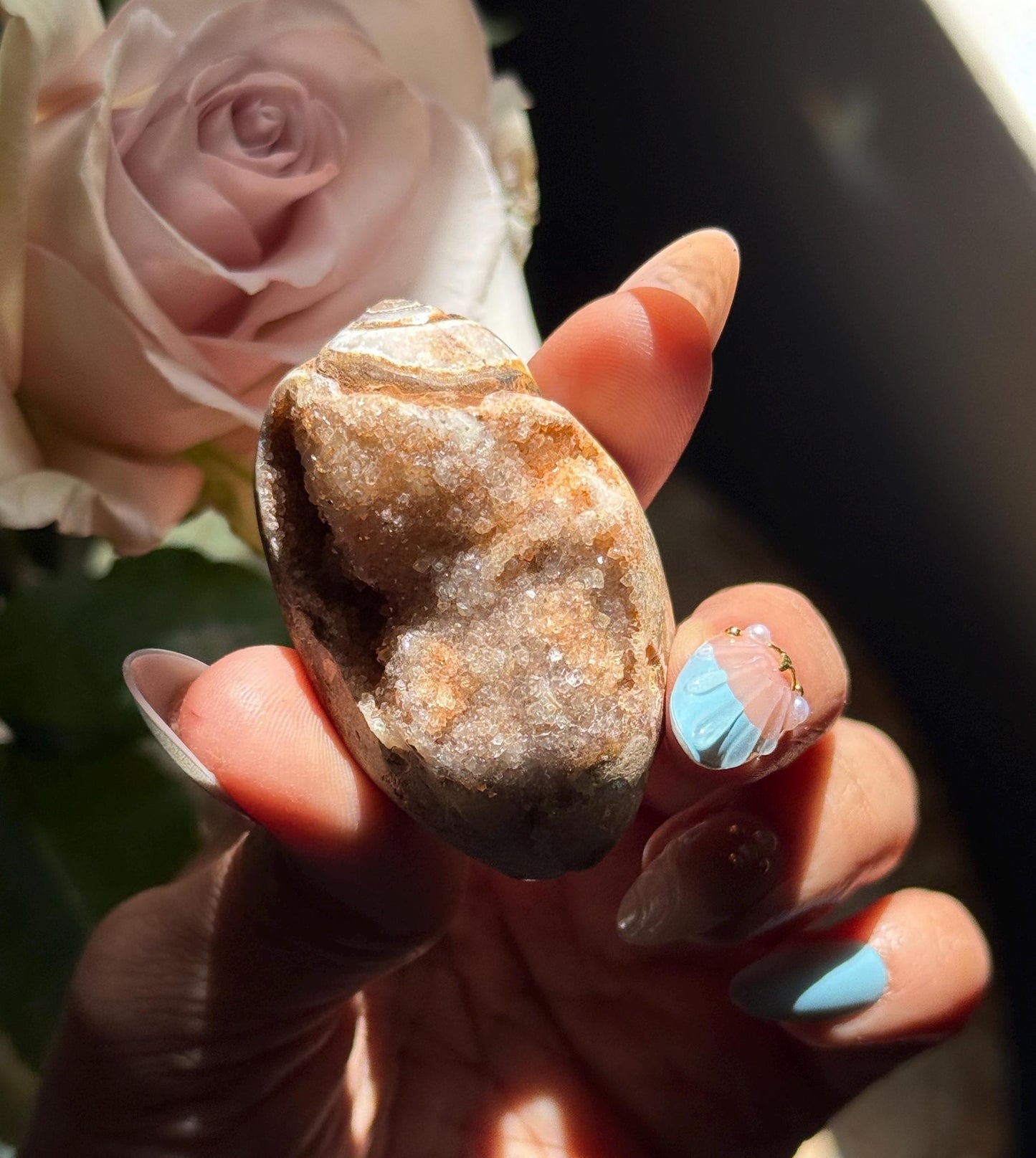 Druzy Quartz Shell, Shell, Spiralite Quartz Shell, Fossilized Sea Shell, Agatized Shell, Fossilized Quartz, Crystal Gifts, Fossils