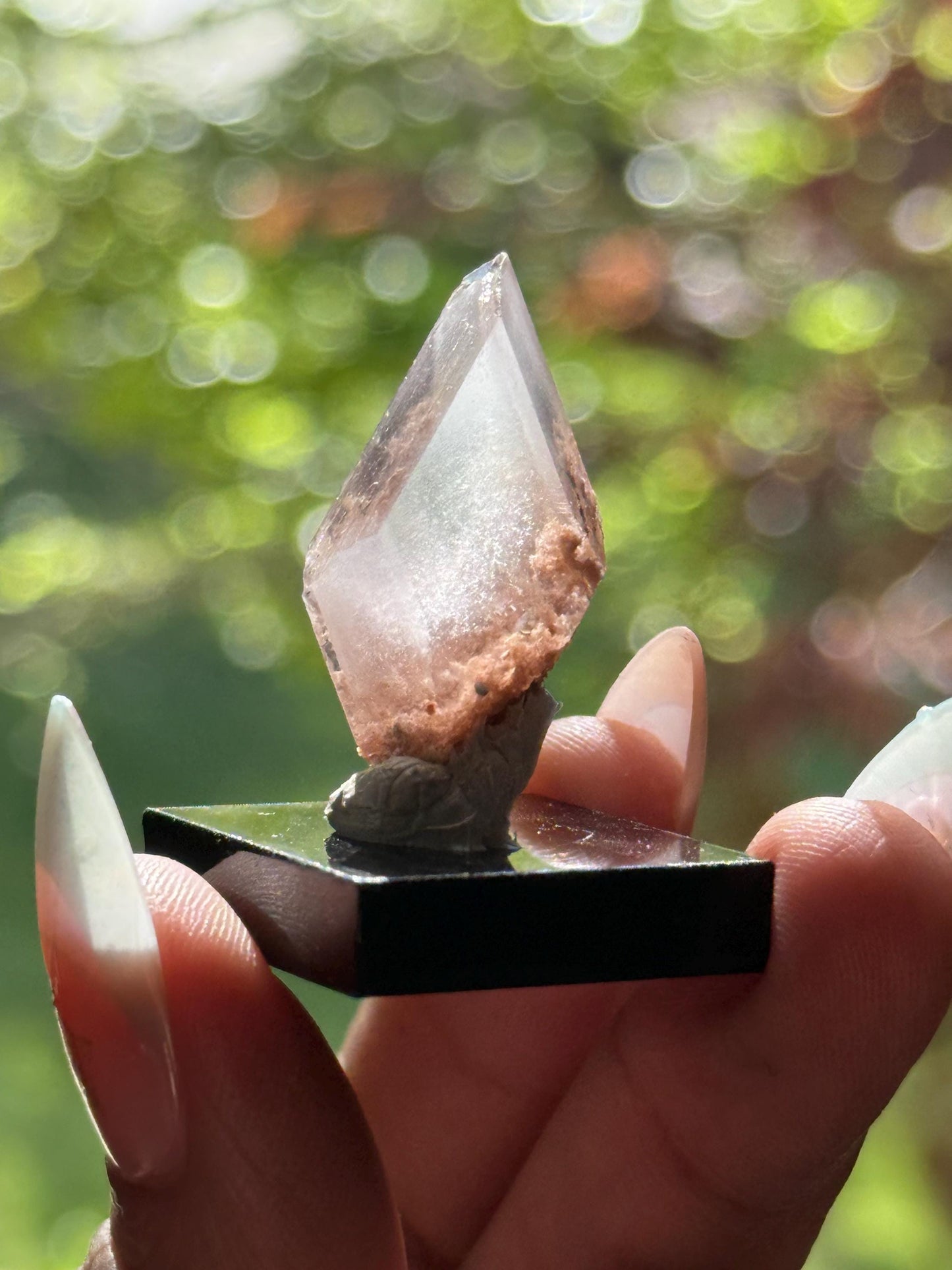 Raw Selenite From Durango Mexico, Mexican Selenite, Raw Natural Selenite, Bermejillo Durango Selenite, Raw Crystals, Fossils, Raw Minerals