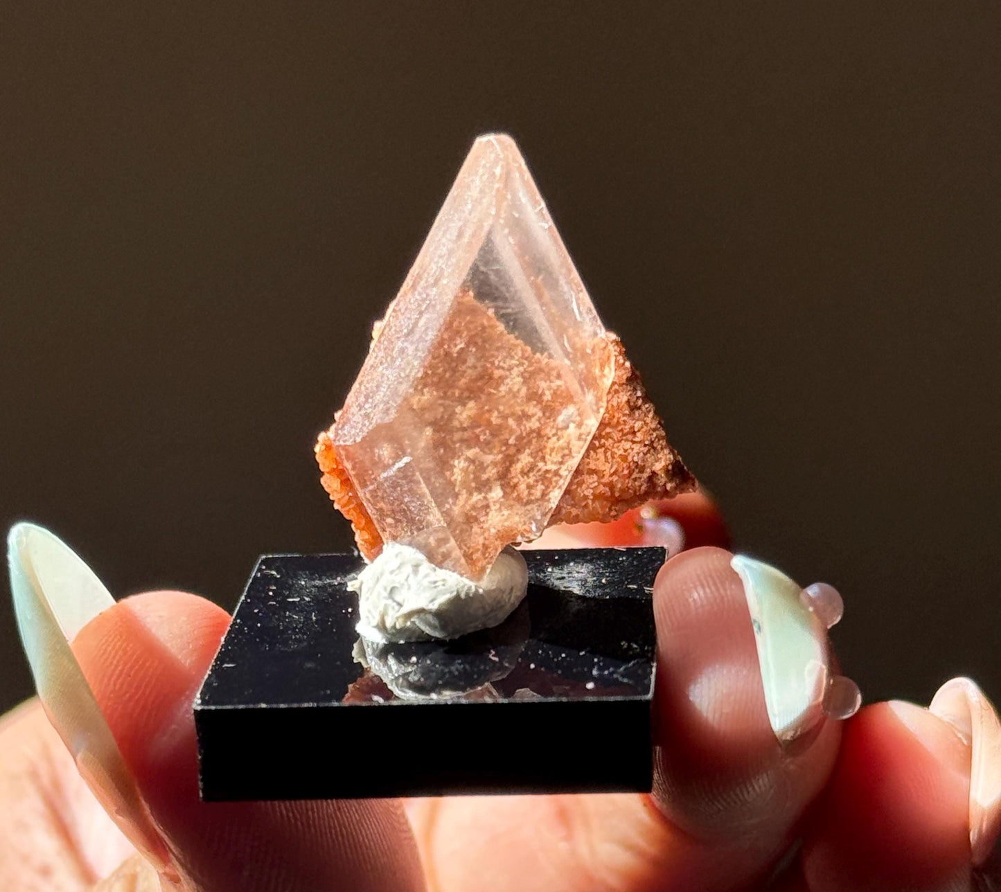 Raw Selenite From Durango Mexico, Mexican Selenite, Raw Natural Selenite, Bermejillo Durango Selenite, Raw Crystals, Fossils, Raw Minerals