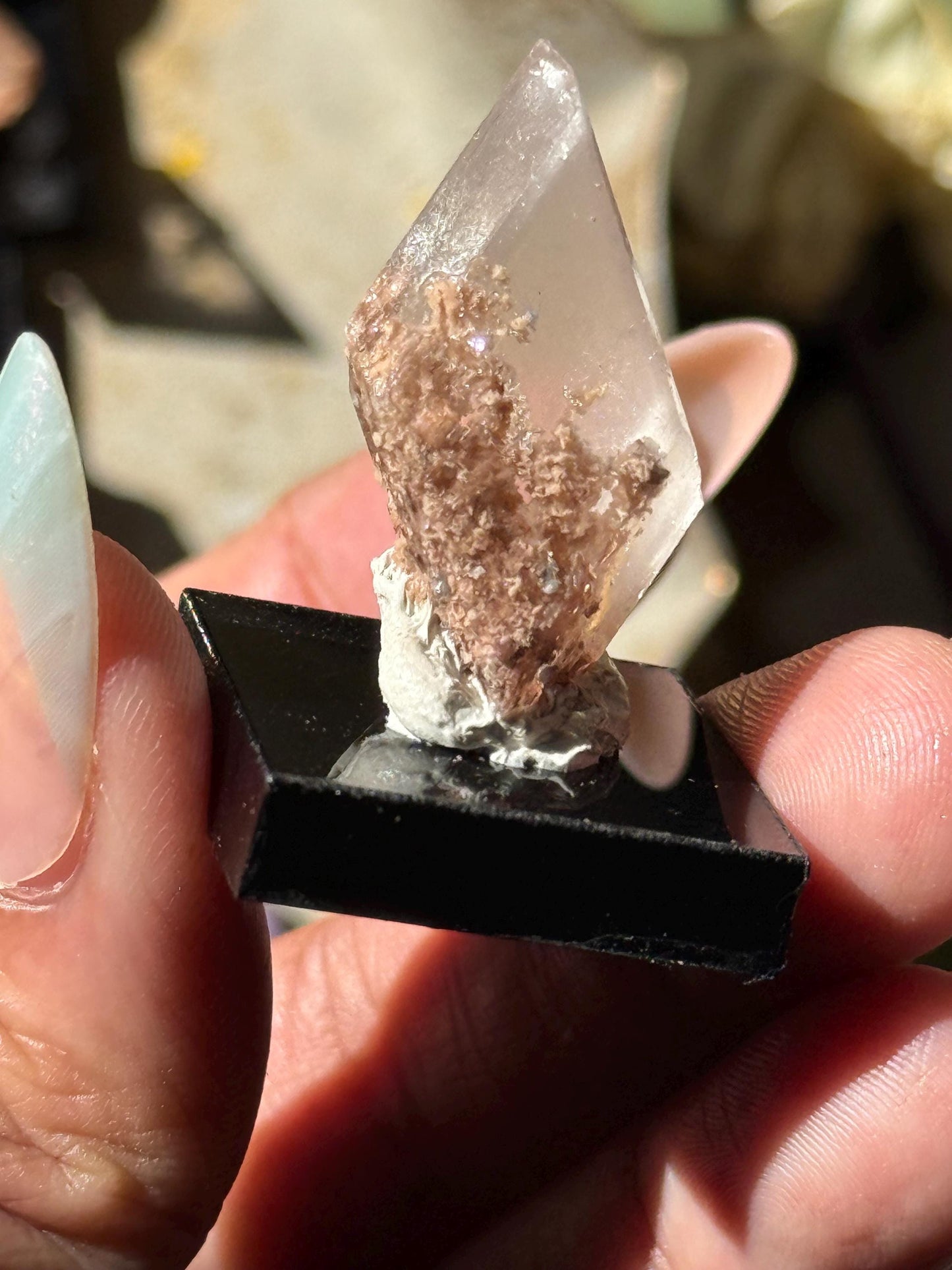 Raw Selenite From Durango Mexico, Mexican Selenite, Raw Natural Selenite, Bermejillo Durango Selenite, Raw Crystals, Fossils, Raw Minerals