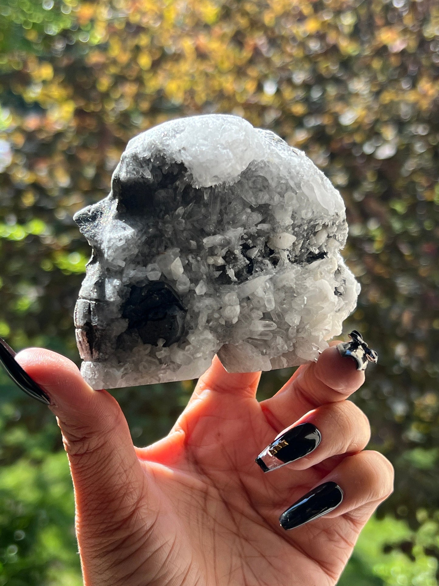Black Tourmaline Crystal Skull with Pyrite, Crystal Skull