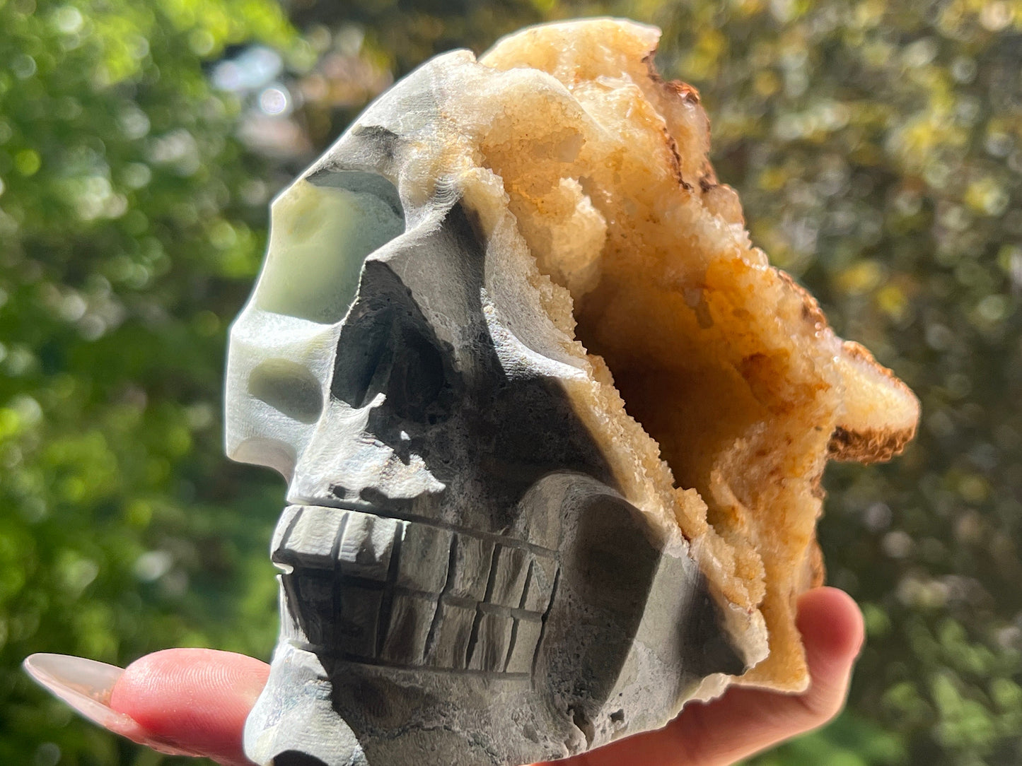 Druzy Caribbean Calcite Skull, Blue Aragonite Skull -Metaphysical gifts