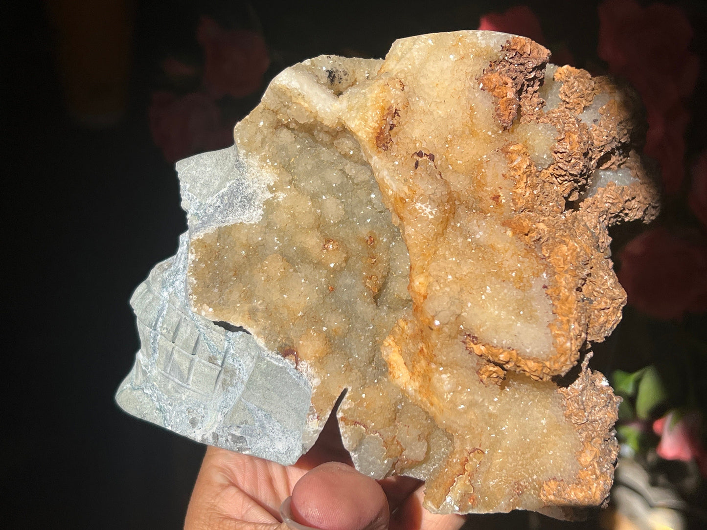 Druzy Caribbean Calcite Skull, Blue Aragonite Skull -Metaphysical gifts